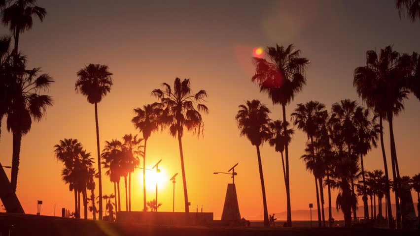 Stock Video Of Silhouettes Palm Trees Against Sunset Stock Video Of Silhouettes Palm Trees Against Sunset