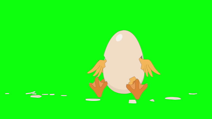 Header of chick